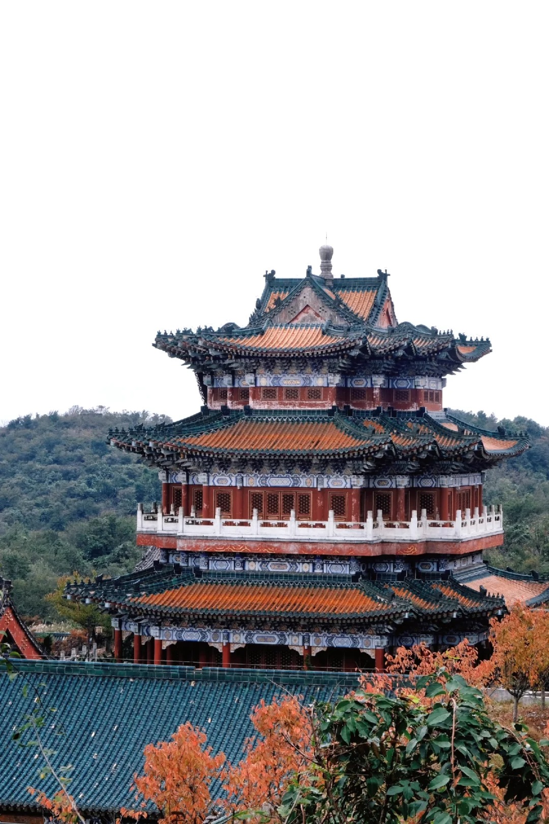 изображение услуги