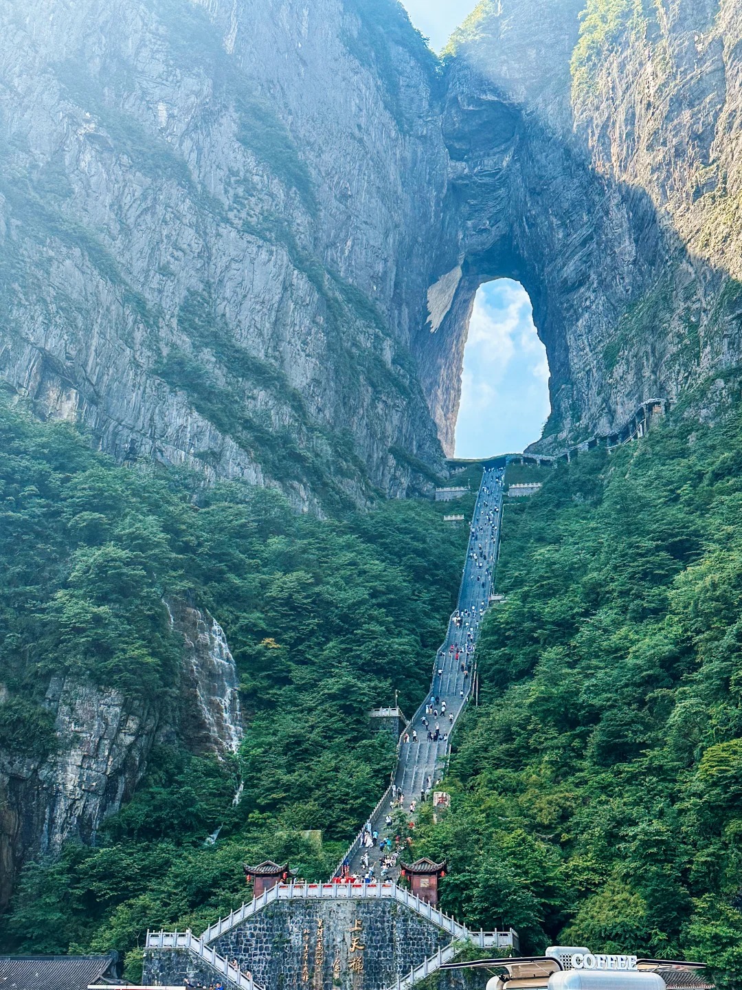 изображение услуги