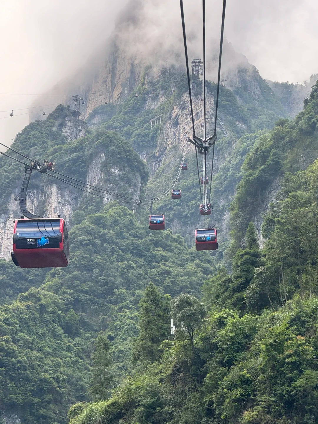 изображение услуги