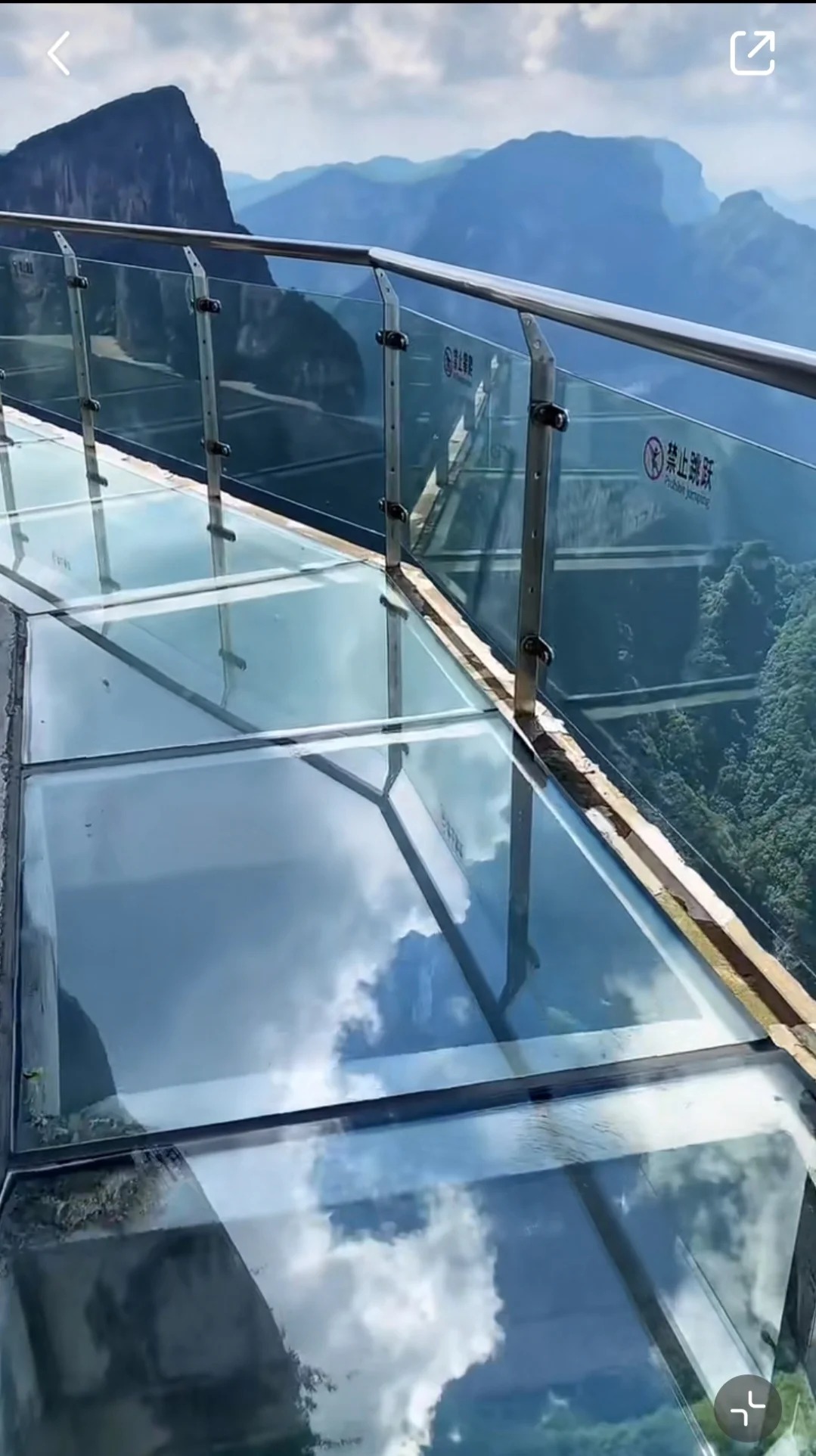 изображение услуги