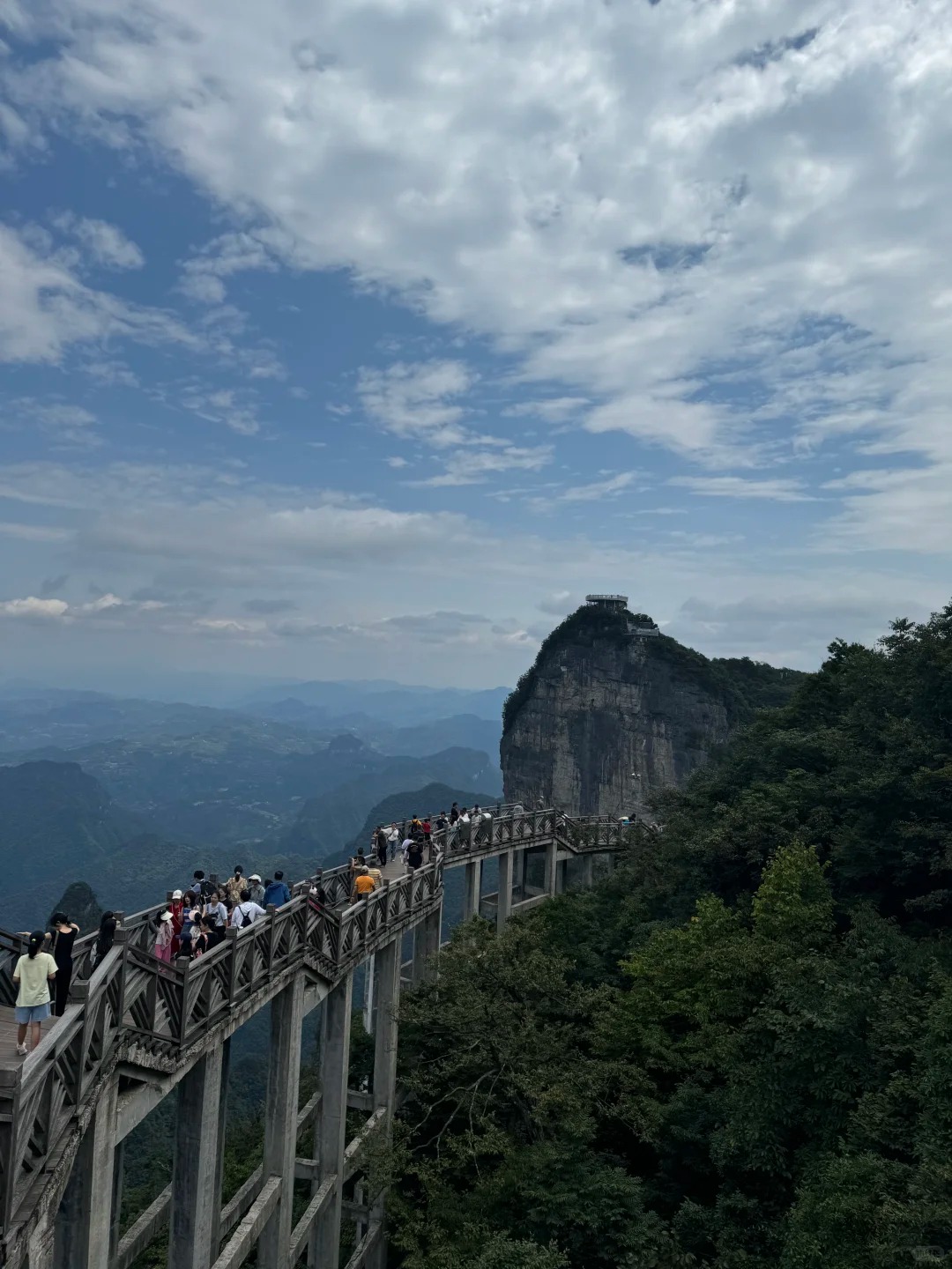 изображение услуги