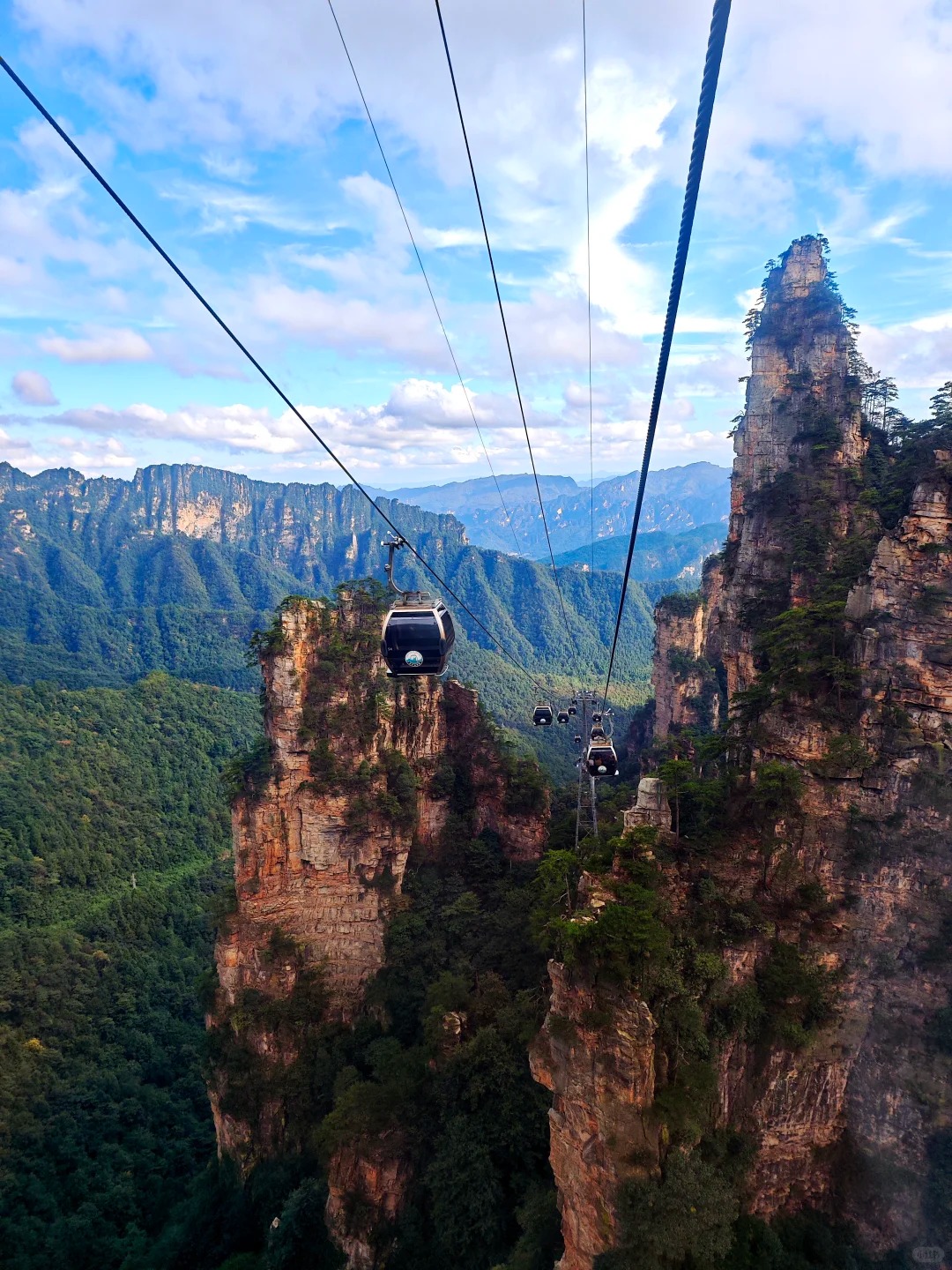 дополнительное фото 1