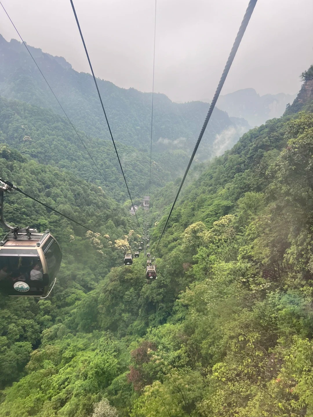 дополнительное фото 3