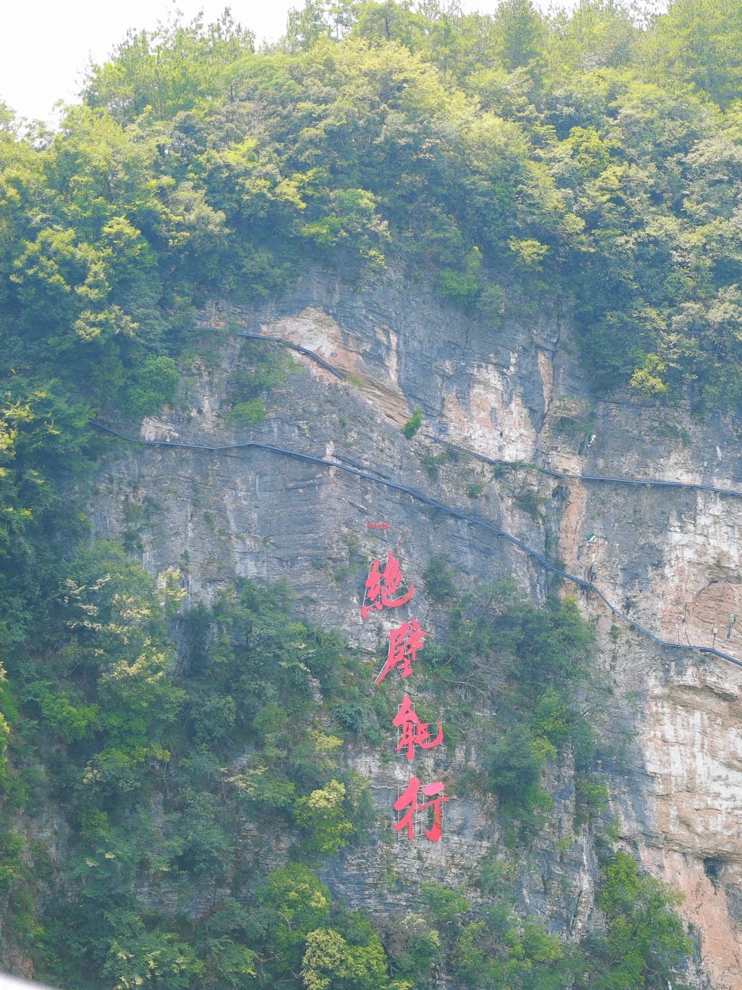 дополнительное фото 2